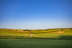 如何利用教材 如何利用教材