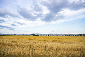 學(xué)習(xí)基礎(chǔ)差 學(xué)習(xí)基礎(chǔ)差