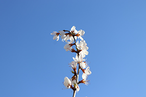 環(huán)境不好無法堅持 環(huán)境不好無法堅持