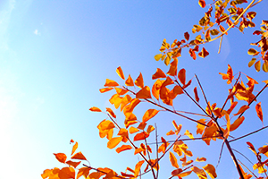 競爭會更激烈嗎 競爭會更激烈嗎