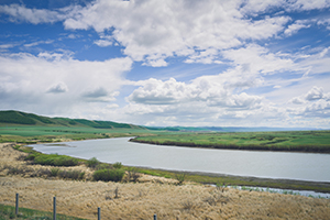 不要僅僅只是看書 不要僅僅只是看書