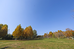 從就業(yè)來(lái)看 從就業(yè)來(lái)看