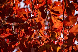 考公務(wù)員 考公務(wù)員