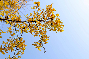 產(chǎn)生焦慮的情況 產(chǎn)生焦慮的情況