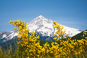 交流學習經(jīng)驗 交流學習經(jīng)驗