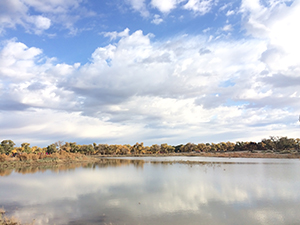 復(fù)習(xí)要有系統(tǒng)性 復(fù)習(xí)要有系統(tǒng)性