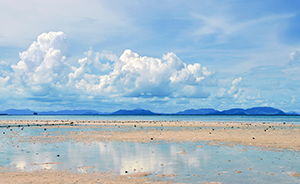 轉(zhuǎn)移注意力 轉(zhuǎn)移注意力