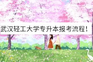 武漢輕工大學(xué)專升本報(bào)考流程
