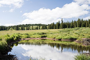 舉一反三 舉一反三