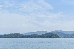 考試會(huì)更容易嗎 考試會(huì)更容易嗎