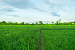 逐步吃透知識(shí)結(jié)構(gòu) 逐步吃透知識(shí)結(jié)構(gòu)