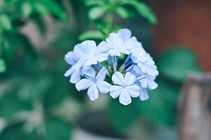 擴(kuò)招后報(bào)考人數(shù)是否會(huì)激增？