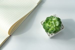 形成知識網(wǎng)絡(luò)框架