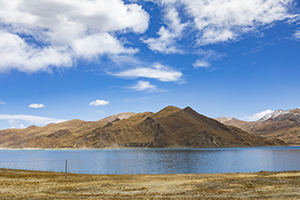 學(xué)習(xí)上追求效益 學(xué)習(xí)上追求效益