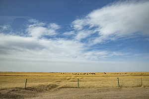 明年專升本還會(huì)擴(kuò)招嗎 明年專升本還會(huì)擴(kuò)招嗎