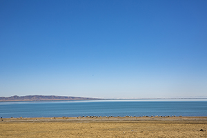 復習狀態(tài) 復習狀態(tài)