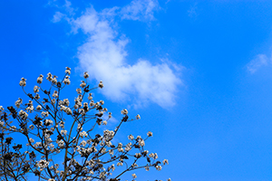 系統(tǒng)做題 系統(tǒng)做題