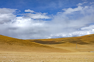 卷面整潔 卷面整潔