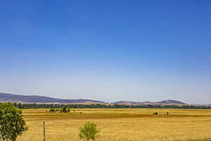 真題復(fù)習(xí) 真題復(fù)習(xí)