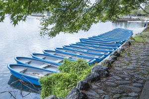 統(tǒng)招專升本考上本科后，畢業(yè)后第一學(xué)歷是本科學(xué)歷嗎？ 