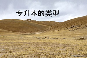 專升本的類型 專升本的類型