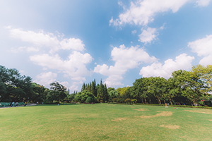 堅(jiān)持計(jì)劃 堅(jiān)持計(jì)劃