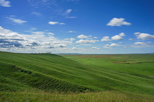 影響人的創(chuàng)造力 影響人的創(chuàng)造力