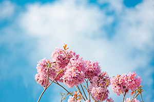 保證充足睡眠 保證充足睡眠