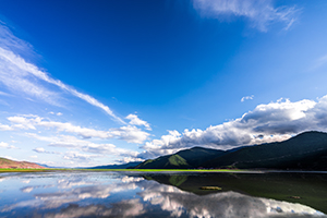 規(guī)范答題 規(guī)范答題