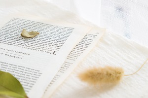 自身能力 自身能力