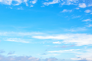 學會利用環(huán)境 學會利用環(huán)境