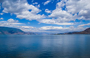 堅(jiān)決執(zhí)行計(jì)劃 堅(jiān)決執(zhí)行計(jì)劃