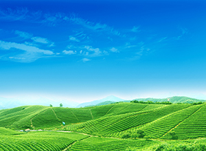 專升本報(bào)名條件 專升本報(bào)名條件