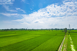 善總結歸納 善總結歸納
