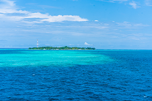 關注自身狀況 關注自身狀況