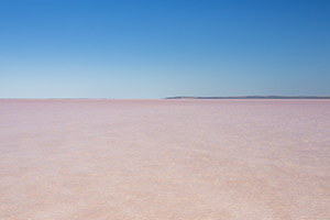 執(zhí)行力差 執(zhí)行力差