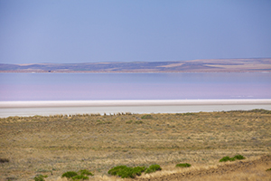 心態(tài)要最佳 心態(tài)要最佳