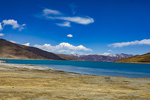 讀懂題目再作答 讀懂題目再作答