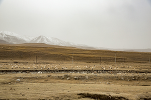設計解決方法 設計解決方法