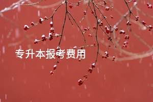 專升本報(bào)考費(fèi)用 專升本報(bào)考費(fèi)用