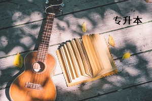 專升本考試 專升本考試