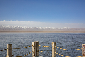 檢測(cè)和重復(fù) 檢測(cè)和重復(fù)