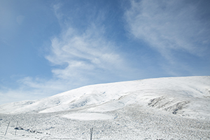 專升本值得嗎 專升本值得嗎