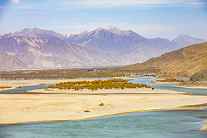 如何選擇專業(yè) 如何選擇專業(yè)