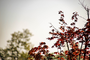 要善于總結(jié) 要善于總結(jié)