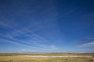 專升本的利弊 專升本的利弊