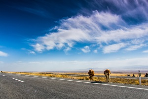 本科學(xué)歷的重要性