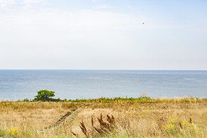 專升本的前景 專升本的前景