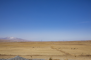 現(xiàn)在就行動(dòng) 現(xiàn)在就行動(dòng)