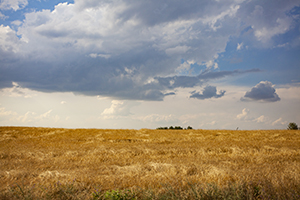 求職就業(yè) 求職就業(yè)
